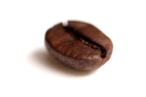 Coffea Arabica - Kávovník arabský